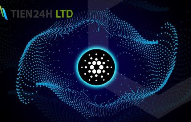 cardano chinh thuc an dinh ngay ra mat smart contract